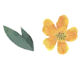 花
